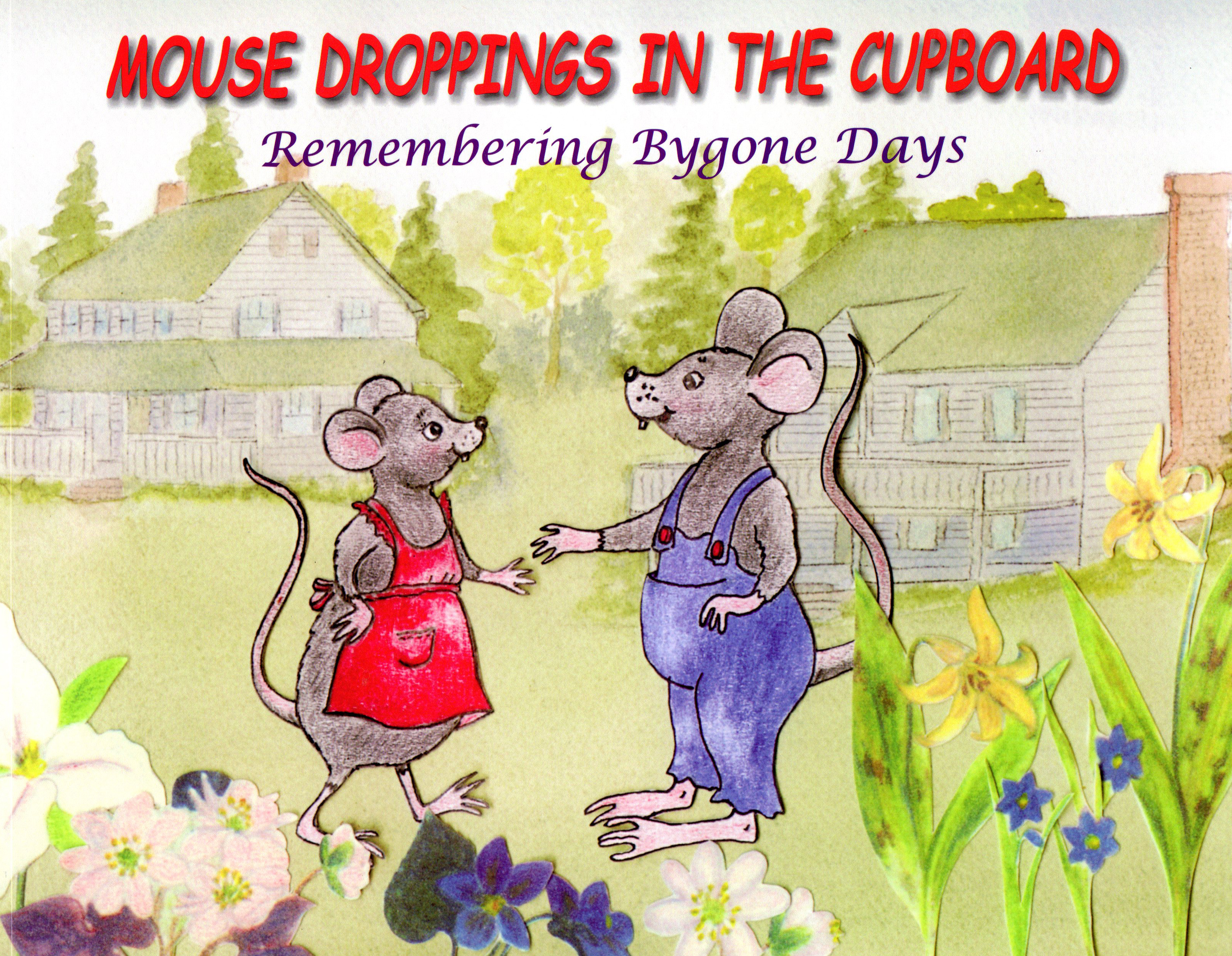 mousedroppings001